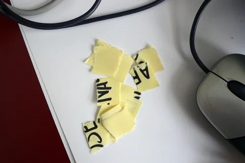 POSTITOLOGY 61