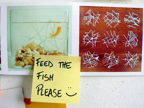 POSTITOLOGY 96
