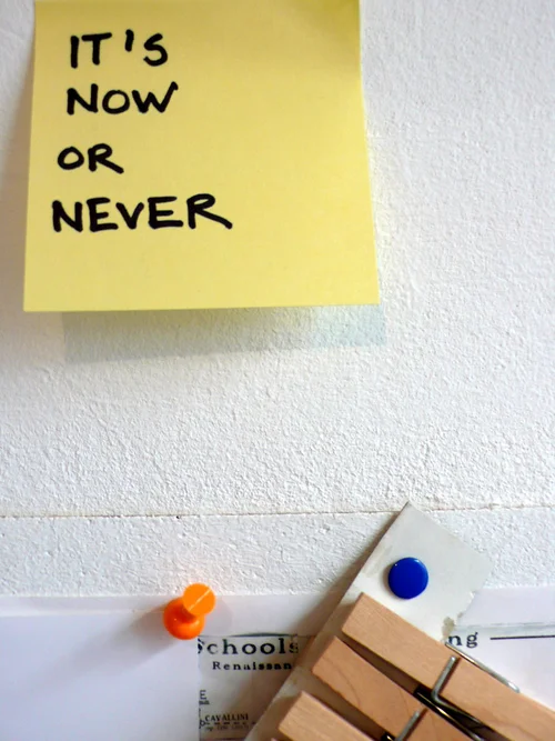 POSTITOLOGY 13
