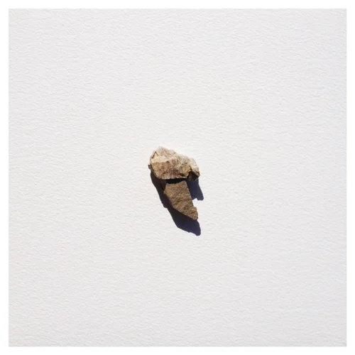 SHADES 15